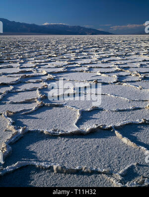 États-unis, Californie, Death Valley National Park, les modèles polygonaux à salt pan sur le plancher de la vallée de la mort et les lointaines montagnes Panamint. Banque D'Images