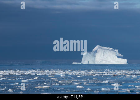 L'Antarctique, ci-dessous le cercle antarctique. Rempli de Glace Bay dans la Mer de Bellingshausen dans Crystal Sound. Banque D'Images