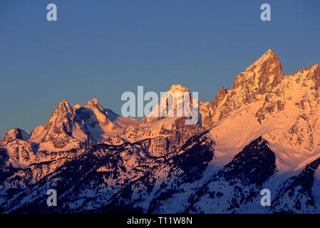 Les couleurs du lever les cimes enneigées de la chaîne Teton, les plus jeunes vont dans les montagnes Rocheuses, qui est le point central de Grand Teton National Park à Jackson Hole, Wyoming, USA. Le pic le plus important, le Grand Teton, dépasse 13 775 pieds (4199 mètres) dans le ciel. Les Tetons sont parmi les plus populaires jeux pour les alpinistes et skieurs. Banque D'Images