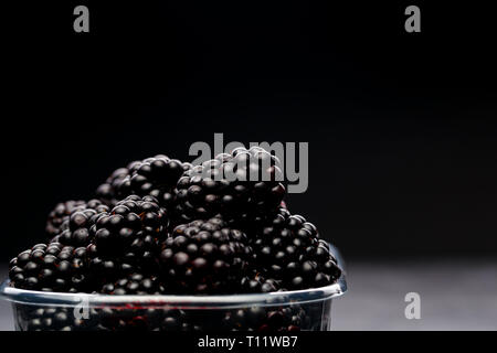 Photo de blackberry dans un contenant de plastique vide sur fond noir. Banque D'Images