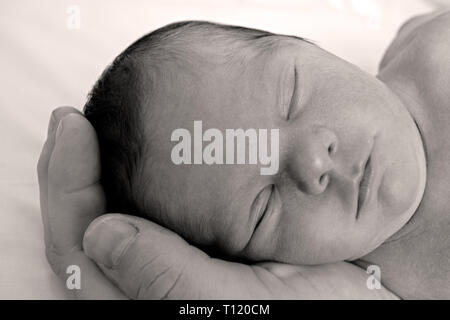 Bébé nouveau-né de dormir dans la main des parents. M. disponible. Banque D'Images