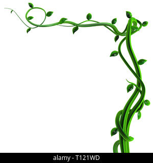 Les vignes de plus en plus vert, angle de torsion 3d illustration, horizontal, isolé, over white Banque D'Images