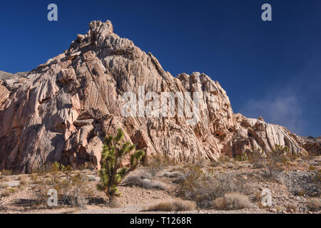 Gold Butte National Monument, Bunkerville, Nevada, USA Banque D'Images