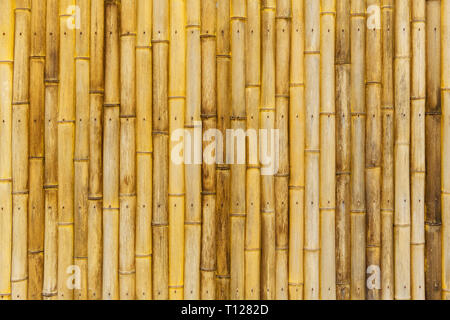 En bois de bambou naturel texture pattern background Banque D'Images