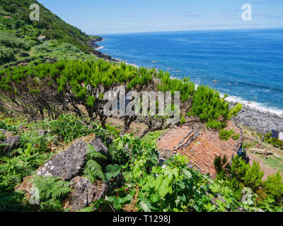 Image de vieux chalets et de vêtements en ligne avec blanchisserie à la plage sur les Açores Portugal Europe Banque D'Images