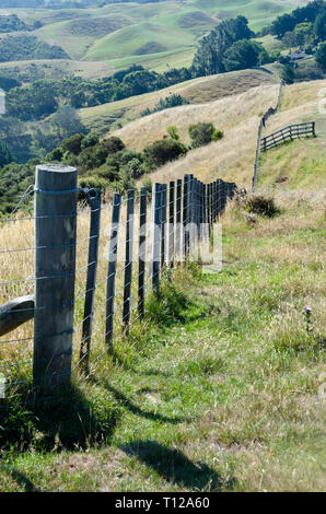 Clôture de la ferme sur la colline, Pauatahanui, Porirua, Wellington, Île du Nord, Nouvelle-Zélande Banque D'Images