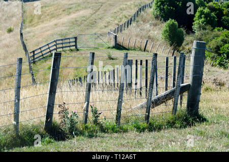 Clôture de la ferme sur la colline, Pauatahanui, Porirua, Wellington, Île du Nord, Nouvelle-Zélande Banque D'Images