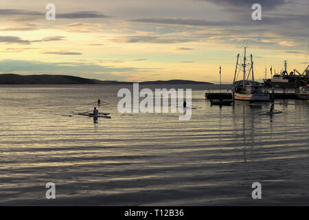 Tôt le matin, le kayak sur la rivière Derwent, Hobart. Banque D'Images