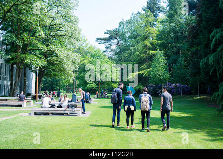 Images de la vie en plein air à l'Université de Tilburg college Campus vert Banque D'Images