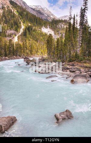 Les eaux des glaciers de Chutes Takakkaw se déversent dans la rivière Kicking Horse par Yoho National Park près de Field, C.-B., dans les Rocheuses canadiennes de l'Alberta nea Banque D'Images