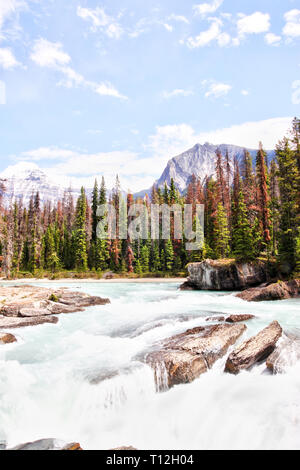 Eaux tumultueuses de la rivière creuse à travers les rochers au pont naturel dans le parc national Yoho dans les Rocheuses canadiennes. Banque D'Images