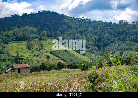 Pailin, Cambodge. Une forêt tropicale sur le flanc d'une colline avec les terres agricoles et les cultures sur les pentes inférieures. La végétation luxuriante et une petite maison. Banque D'Images