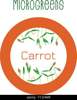 Microgreens carotte. La conception des emballages de semences, l'élément rond au centre Illustration de Vecteur