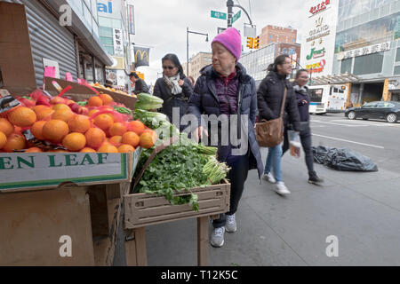 Une vieille femme chinoise pour boutiques fruits & légumes sur un après-midi d'hiver. Dans le quartier chinois, le rinçage, Queens, New York. Banque D'Images