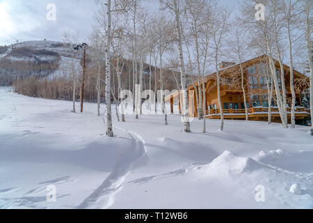 Quaking trembles et cabine sur la montagne enneigée dans l'Utah. Une cabine confortable sur la montagne couverte de neige à Park City, Utah en hiver. Un bosquet de trembles t Banque D'Images