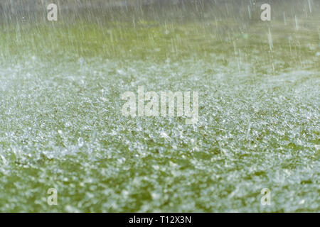 Frapper des gouttelettes de surface de l'eau. Les gouttes de pluie tombant sur la surface de l'eau verte. Motion Blur. Banque D'Images