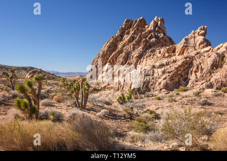Gold Butte National Monument, Bunkerville, Nevada, USA, Amérique du Nord Banque D'Images