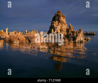 États-unis, Californie, Inyo National Forest, Mono Basin Forest Scenic Area, lever du soleil sur les tours de tuf le long de rive du lac Mono au Sud zone de tuf. Banque D'Images