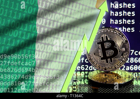 Drapeau de l'Irlande et l'augmentation de flèche verte sur l'écran d'exploitation minière bitcoin et deux d'or physique des bitcoins. Concept de conversion élevé dans l'exploitation minière cryptocurrency Banque D'Images