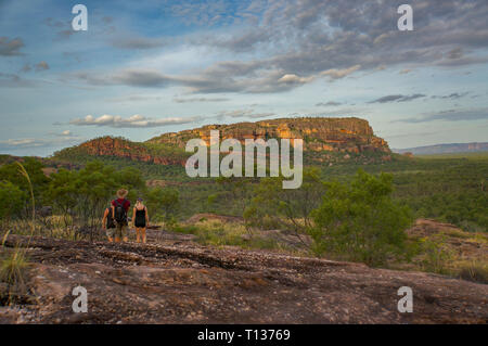 Panorama depuis l'Nadab Lookout à ubirr, le parc national de Kakadu. Il ressemble à une savane africaine - Australie Banque D'Images