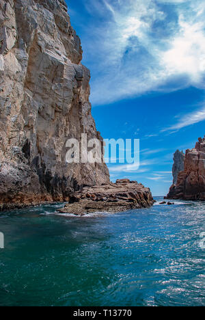 Les lions de mer se prélassent au soleil à Lands End dans la station balnéaire de Cabo San Lucas, à la pointe sud de la Basse Californie au Mexique Banque D'Images