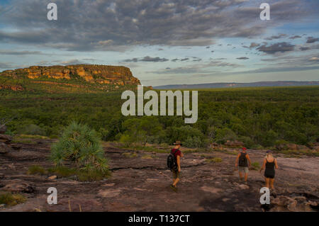 Panorama depuis l'Nadab Lookout à ubirr, le parc national de Kakadu. Il ressemble à une savane africaine - Australie Banque D'Images