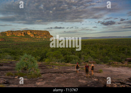 Panorama depuis l'Nadab Lookout à ubirr, le parc national de Kakadu. Il ressemble à une savane africaine - Australie Banque D'Images