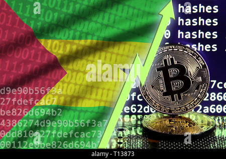 Sao Tomé-et-Principe d'un drapeau et d'augmentation de flèche verte sur l'écran d'exploitation minière bitcoin et deux d'or physique des bitcoins. Concept de conversion élevé dans cryptocurre Banque D'Images