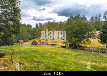 Huttes de foin pour l'élevage du bétail dans la vallée de la Murg, Nord de la Forêt Noire, en Allemagne, ville, district de Gernsbach Reichenbach Banque D'Images