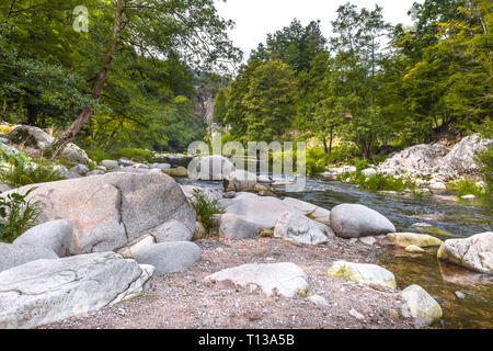 Riverside Rocky de la rivière Murg, Nord de la Forêt Noire, en Allemagne, la nature sauvage dans la vallée de la Murg près de Forbach Banque D'Images