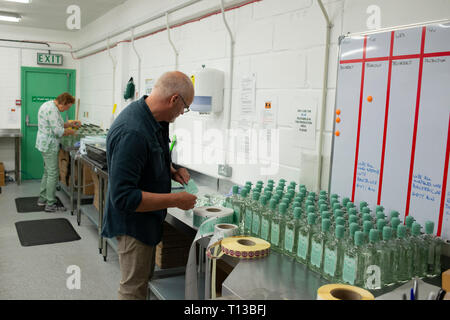 Un homme dans une distillerie de gin gin Brighton productrices. Banque D'Images