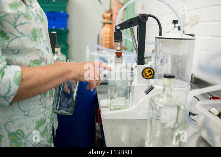 Un homme dans une distillerie de gin gin Brighton productrices. Banque D'Images