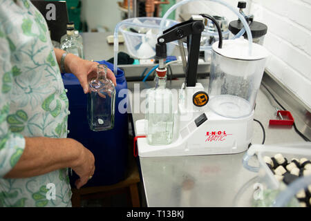 Un homme dans une distillerie de gin gin Brighton productrices. Banque D'Images