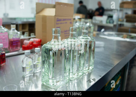 Un homme dans une distillerie de gin gin Brighton productrices. Banque D'Images