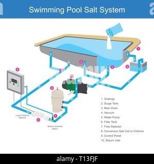 Le système de filtre à eau dans la piscine qui utilise le sel est une substance chimique qui rend l'eau claire, par l'utilisation de cellules de l'électrode à l'évolution du chlore. Je infographique Illustration de Vecteur