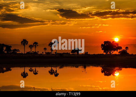 Paysage africain éclairé par un orange coucher du soleil et se reflètent dans la région de la rivière Okavango Banque D'Images