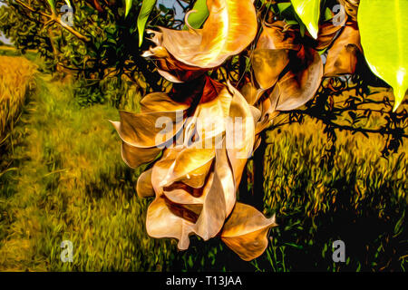 Des feuilles sèches de Jambolan, Cette photo a été donné une photo pour effet de la faire ressembler à une peinture à l'huile Banque D'Images