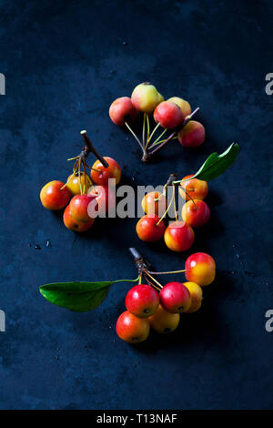 Crabe rouge des pommes Banque D'Images