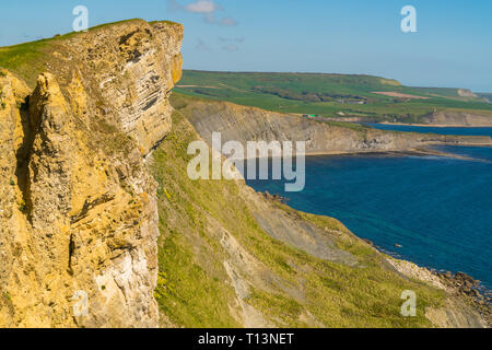 Falaises de la Côte Jurassique, vu sur South West Coast Path entre Worbarrow Bay Bay et de brandy, Dorset, UK Banque D'Images