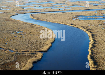 USA, Maryland, Cambridge, Blackwater National Wildlife Refuge, Blackwater River, Blackwater Refuge connaît une hausse du niveau de la mer qu'est l'inondation thi Banque D'Images