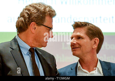 23 mars 2019, le Schleswig-Holstein, Neumünster : Heiner Garg (r), de l'état président de la FDP, parle à Bernd Buchholz (FDP), le ministre de l'économie du Schleswig-Holstein, à l'État partie de la partie conférence. Les préparatifs pour les élections européennes sont à l'ordre du jour. Photo : Carsten Rehder/dpa Banque D'Images