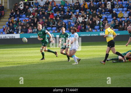 Reading, Berkshire, Royaume-Uni. Mar 23, 2019. London Irish vs Doncaster Knights rugby au Madejski Stadium 02/03/19 le coup d'envoi 14h30. Crédit : David Hammant/Alamy Live News Banque D'Images