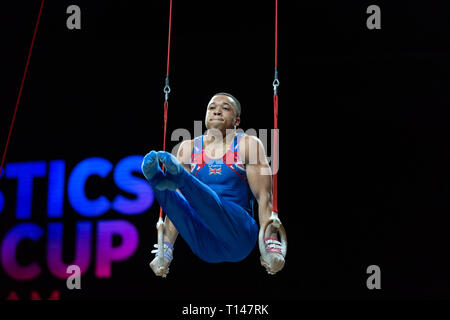 Birmingham, UK. Mar 23, 2019. Joe Fraser (GBR), l'exécution au cours de la Men's session de la Coupe du Monde de Gymnastique 2019 à l'Arène de Genting/Resorts World Arena, Birmingham, UK le samedi 23 mars 2019. Credit : Iain Scott Photography/Alamy Live News Banque D'Images