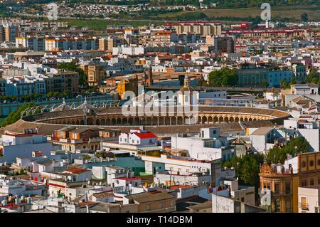 Vue panoramique et les arènes de Séville, Andalousie, Espagne, Europe. Banque D'Images