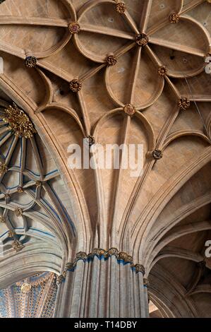 Voûte nervurée de la nouvelle Cathédrale, Salamanque, région de Castilla y Leon, Espagne, Europe. Banque D'Images