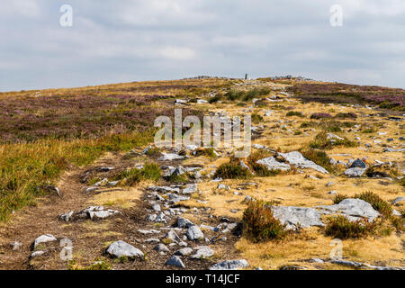 La marche jusqu'au sommet de l'Ardanaiseig une montagne ou colline dominant la vallée de l''Usk et Abergavenny dans Monmouthshire Banque D'Images