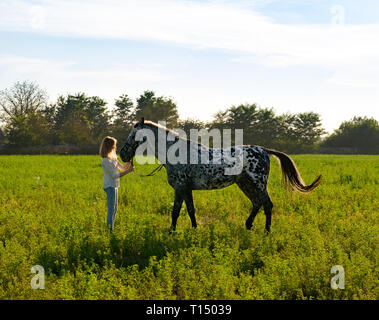 Fille Jockey est de caresser un cheval sur manege ouvert. Jolie fille jockey est debout à proximité d'un cheval s'embrasser et l'étreindre Banque D'Images