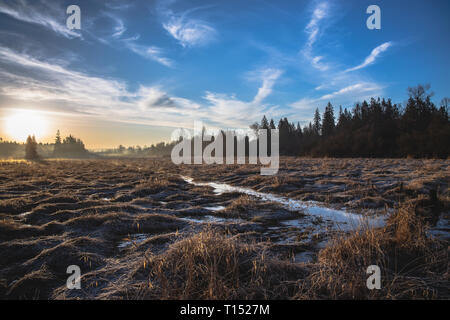 Ciel spectaculaire au début de l'hiver Matin brumeux Banque D'Images