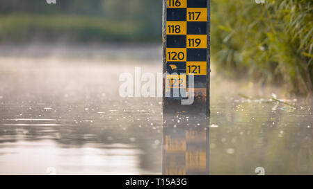 Au niveau de l'eau compteur de profondeur de la rivière dans la réserve naturelle de Biesbosch Pays-Bas Banque D'Images