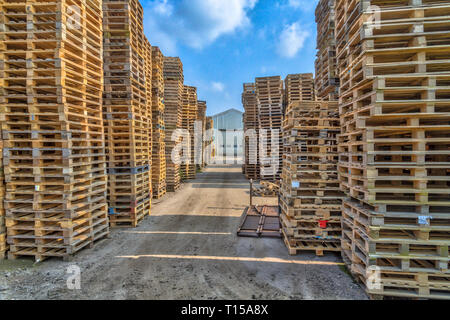 D'affaires avec des piles de type euro palettes de fret prêt pour le recyclage Banque D'Images